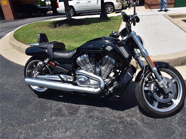 harley davidson v rod for sale