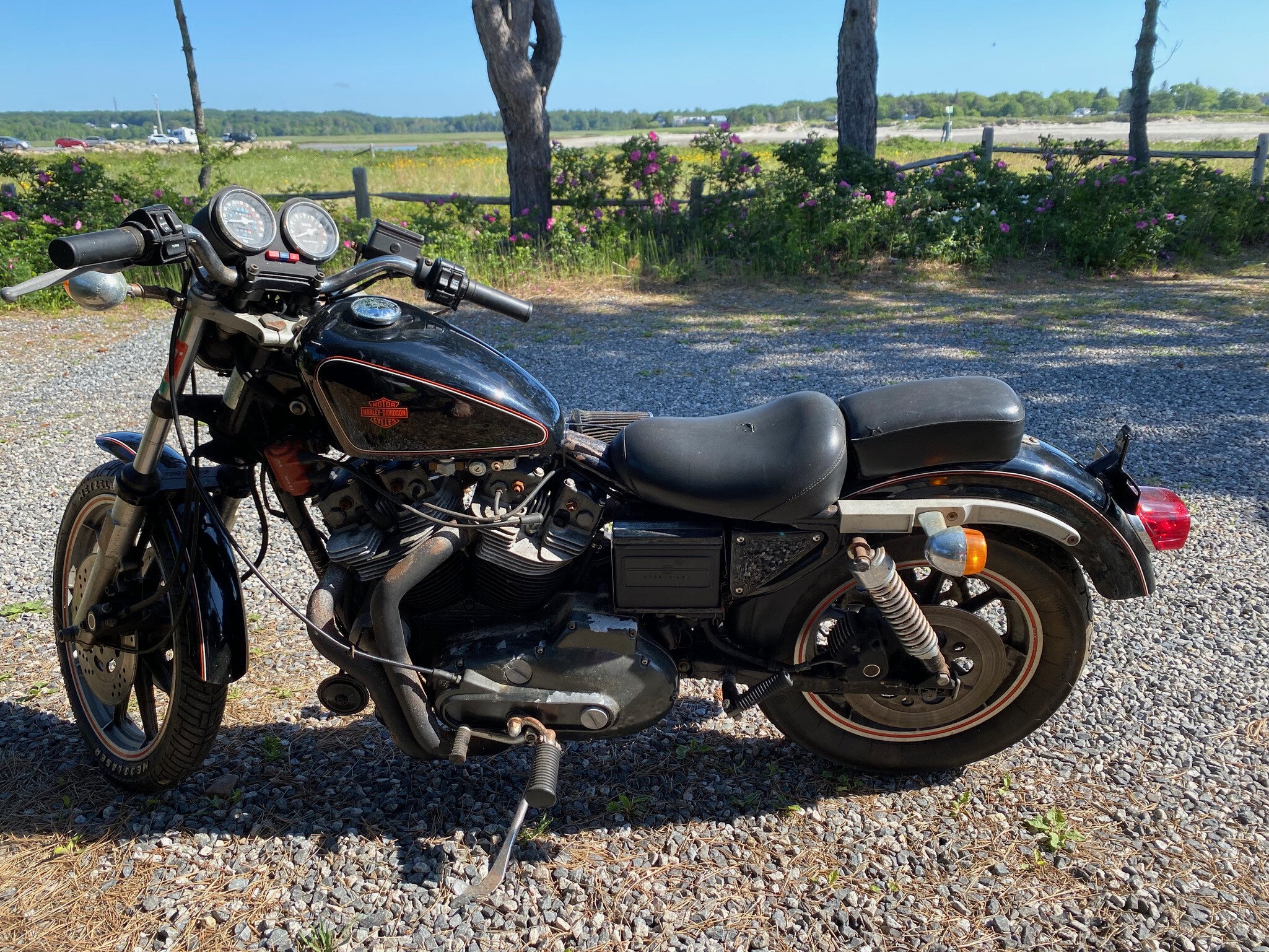 1983 Harley Davidson Sportster Motorcycles For Sale Motorcycles On Autotrader