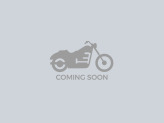 2023 Harley-Davidson Touring Road Glide for sale 201549702