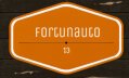 Fortunauto 13