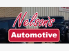 Nelson's Automotive Group Inc